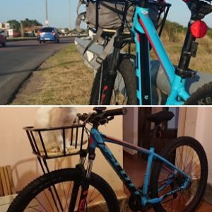 Bici