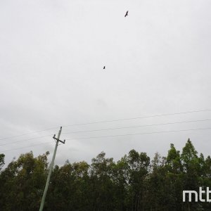 DSC06615