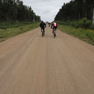 DSC06619