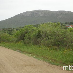 DSC06621