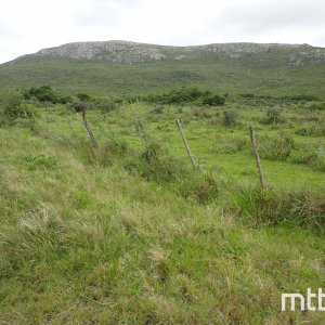 DSC06630