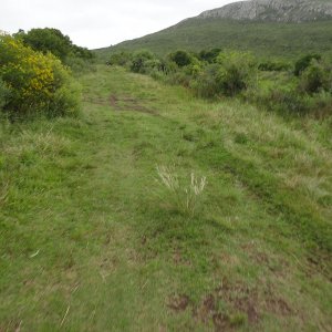 DSC06631