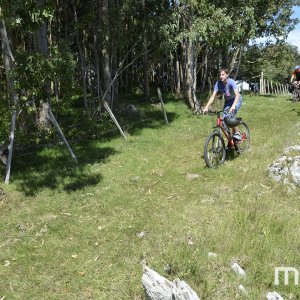_DSC0747