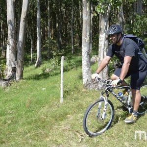 _DSC0779