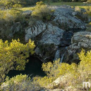 _DSC3011