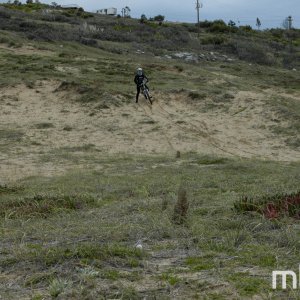 _DSC2579