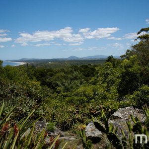 _DSC3682