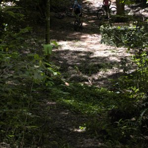 _DSC3684