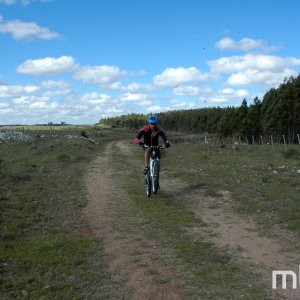 _DSC2012