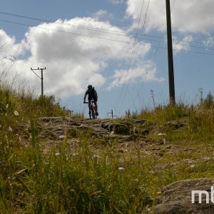 _DSC3750