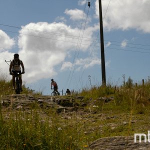 _DSC3755