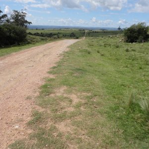 DSC01901