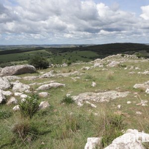 DSC01902