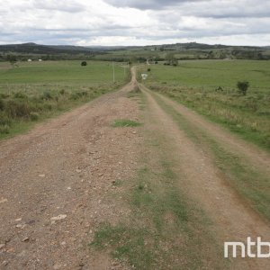 DSC01935