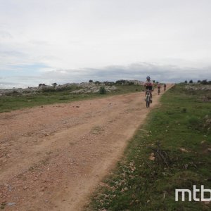 DSC01954