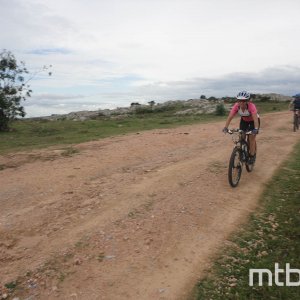 DSC01955