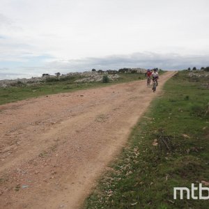 DSC01956