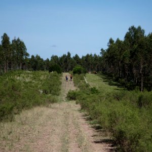 MTB 07_02_15 031