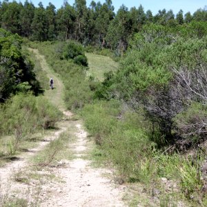 MTB 07_02_15 034