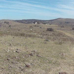 DSC02641