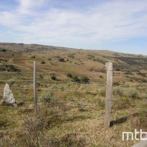 DSC02642