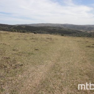 DSC02657