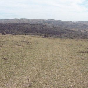 DSC02659