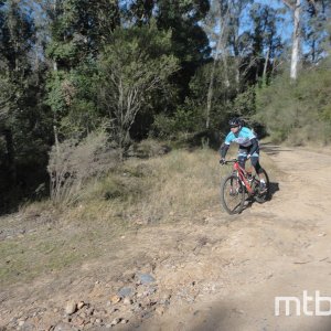 DSC02665