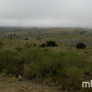 _DSC5331
