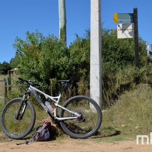 _DSC0205