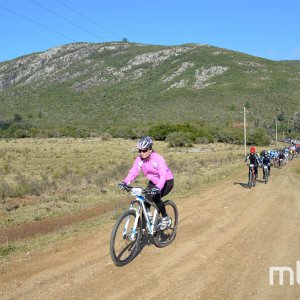 _DSC0433