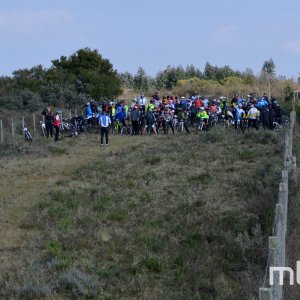 _DSC0489