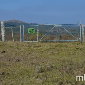 _DSC0492