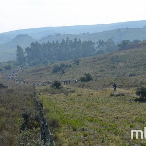 _DSC0567