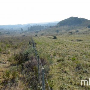 _DSC0568