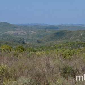 _DSC0570