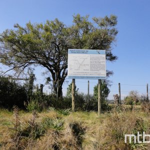 DSC03331