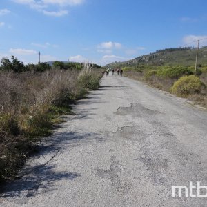 DSC03358