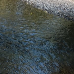WP_20150411_020