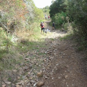 DSC07180