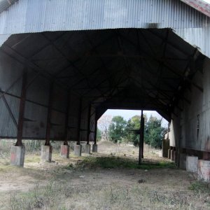 DSCF9411