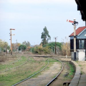 DSCF9442