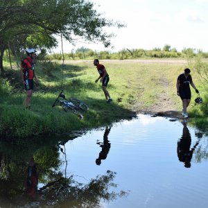 _DSC0419