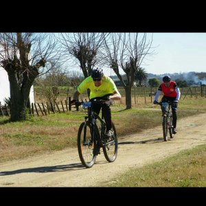 IMG-20160807-WA0018