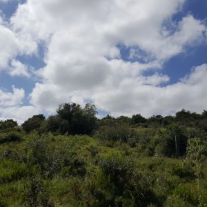 20161204_100316