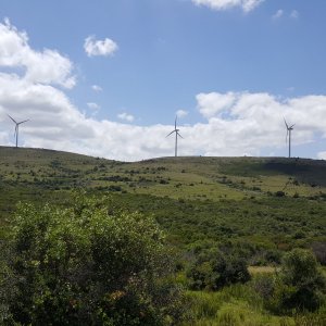 20161204_103942