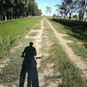 Caminos mas del sur