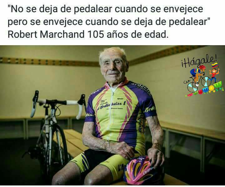 15823024_1536874136329198_4550317062385817143_n