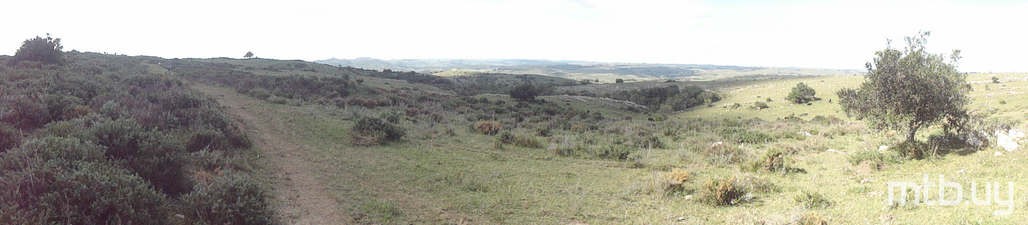 DSC02054