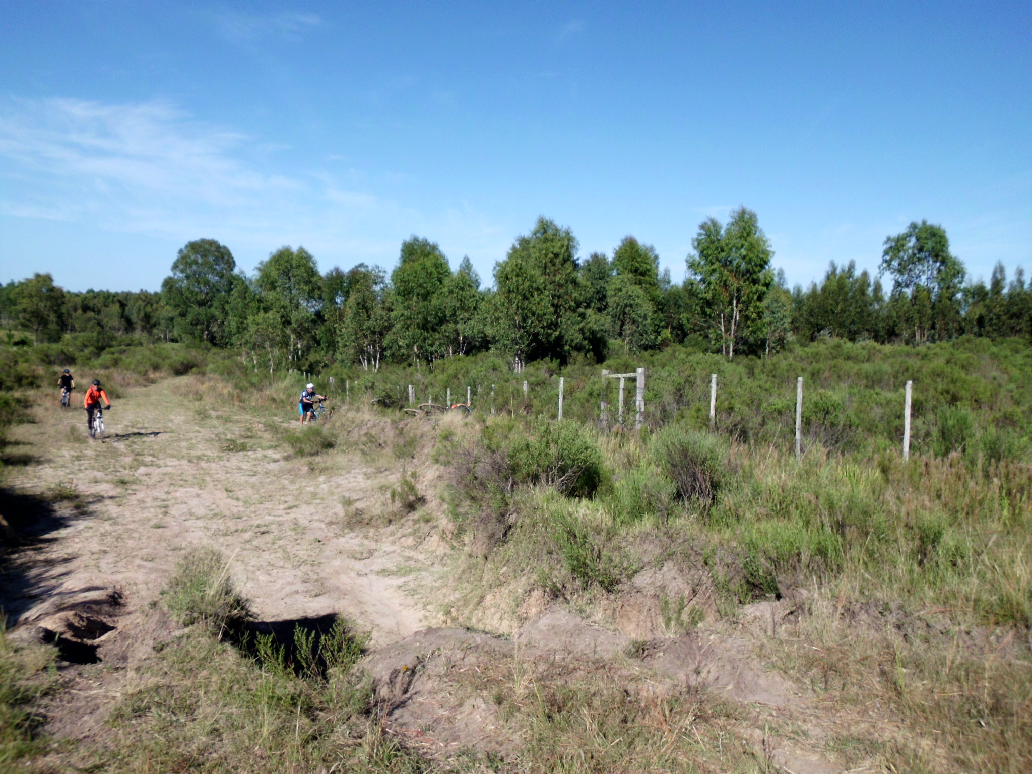 MTB 07_02_15 006